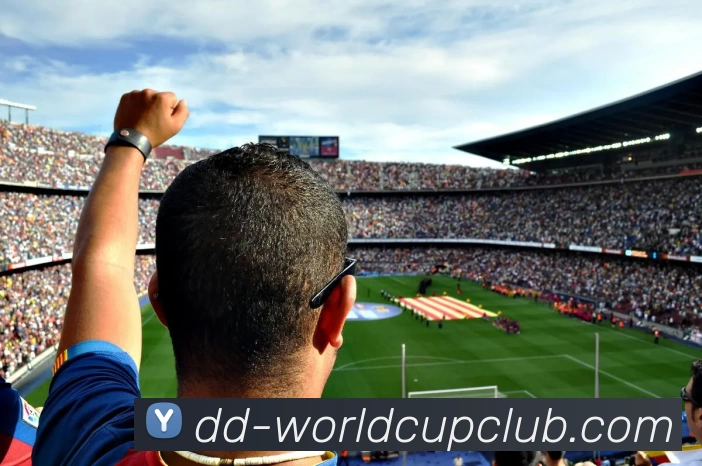 世界杯投注APP 封面图